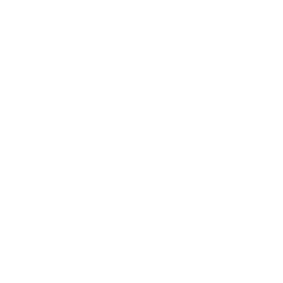 NORDIC HOUSE
