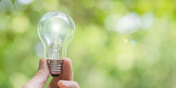 エコロジーイメージ